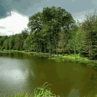 دریاچه الندان کجاست؟ راهنمای کامل سفر به الندان ساری