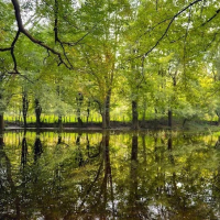 پارک جنگلی اشبلا یا اشپلا | راهنمای مسیریابی و سفر به اشبلا