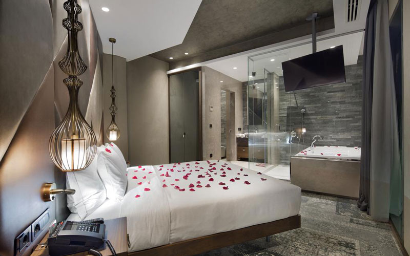 هتل DoubleTree by Hilton Hotel Istanbul - Piyalepasa