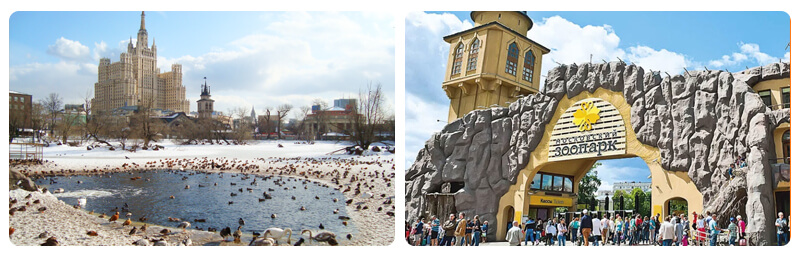 باغ وحش مسکو