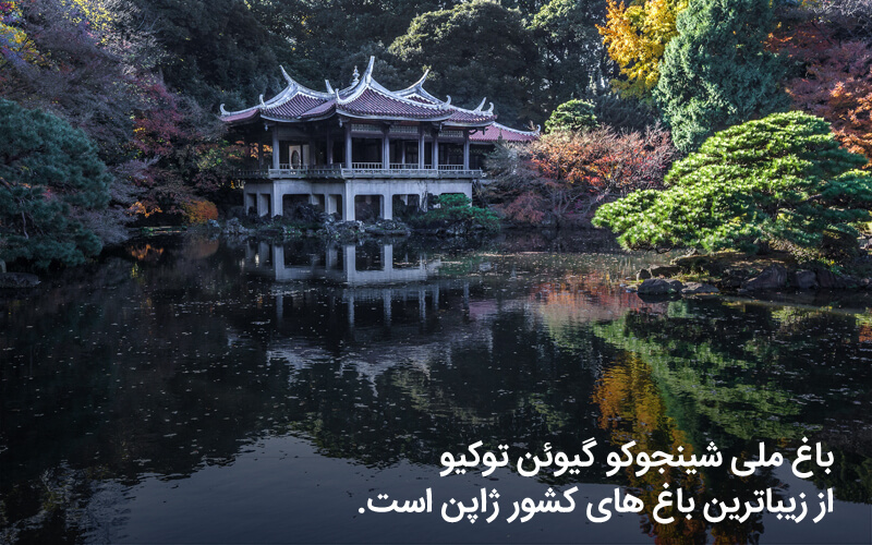 باغ ملی شینجوکو گیوئن توکیو