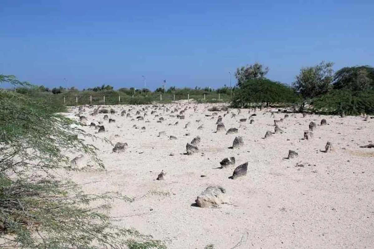 جزیره سیری کجاست؟ همه آنچه باید درباره این جزیره بدانید