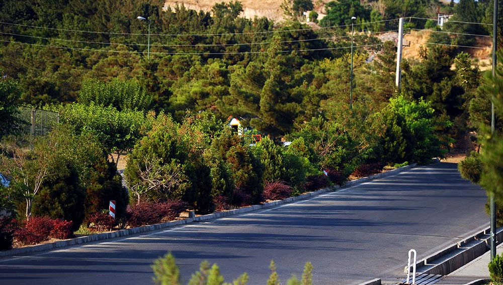 بوستان جنگلی لتمال کن یا لتمان کن کجاست؟ | آدرس و مسیر دسترسی