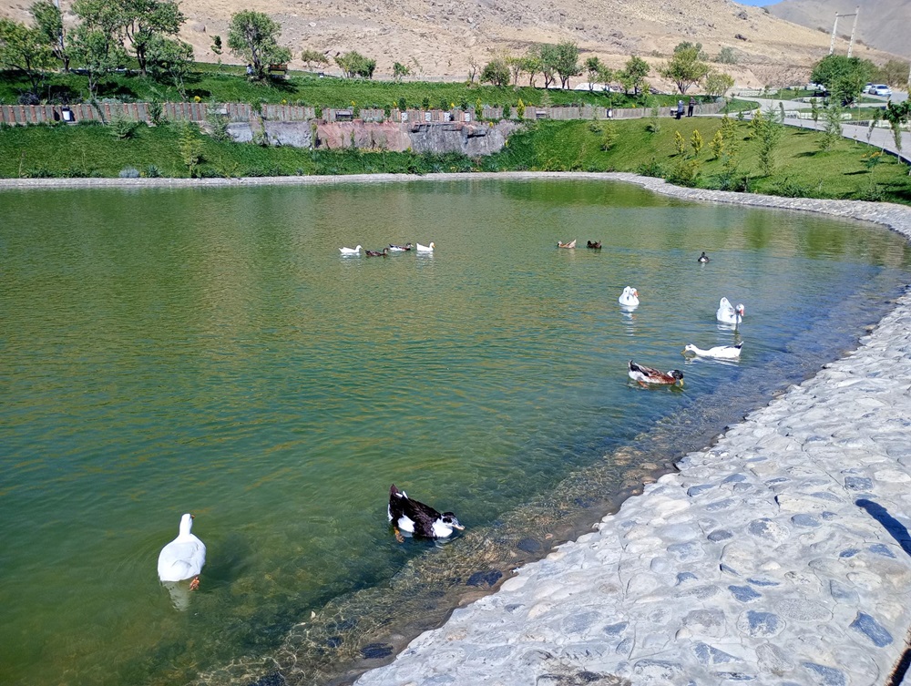 ۲۳ جای دیدنی تویسرکان | بهشت سرسبز غرب