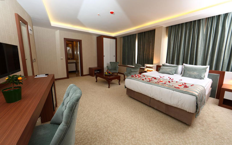 هتل New Park Hotel Ankara