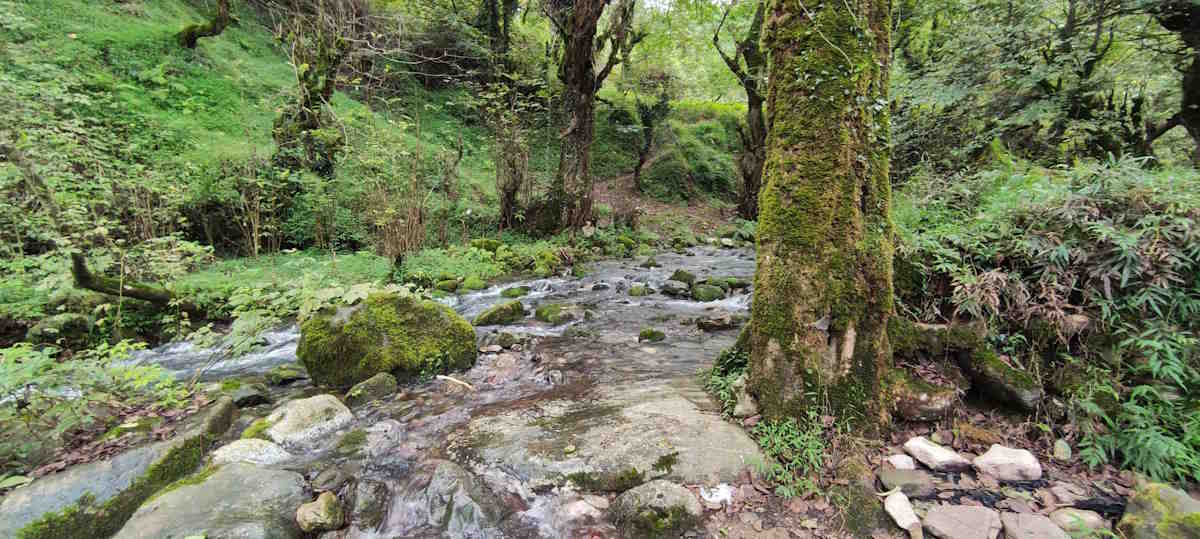 جاهای دیدنی چابکسر | جایی که ارتفاعات و دریا به هم می رسند