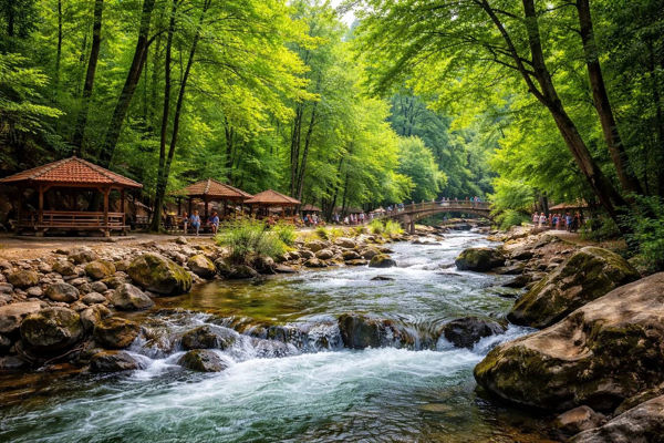 پارک جنگلی فین چالوس کجاست؟