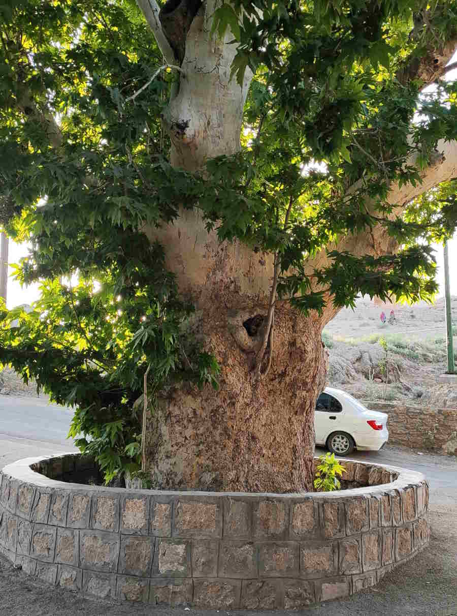 جاهای دیدنی نیاسر از آسیاب های قدیمی تا آبشارهای طبیعی