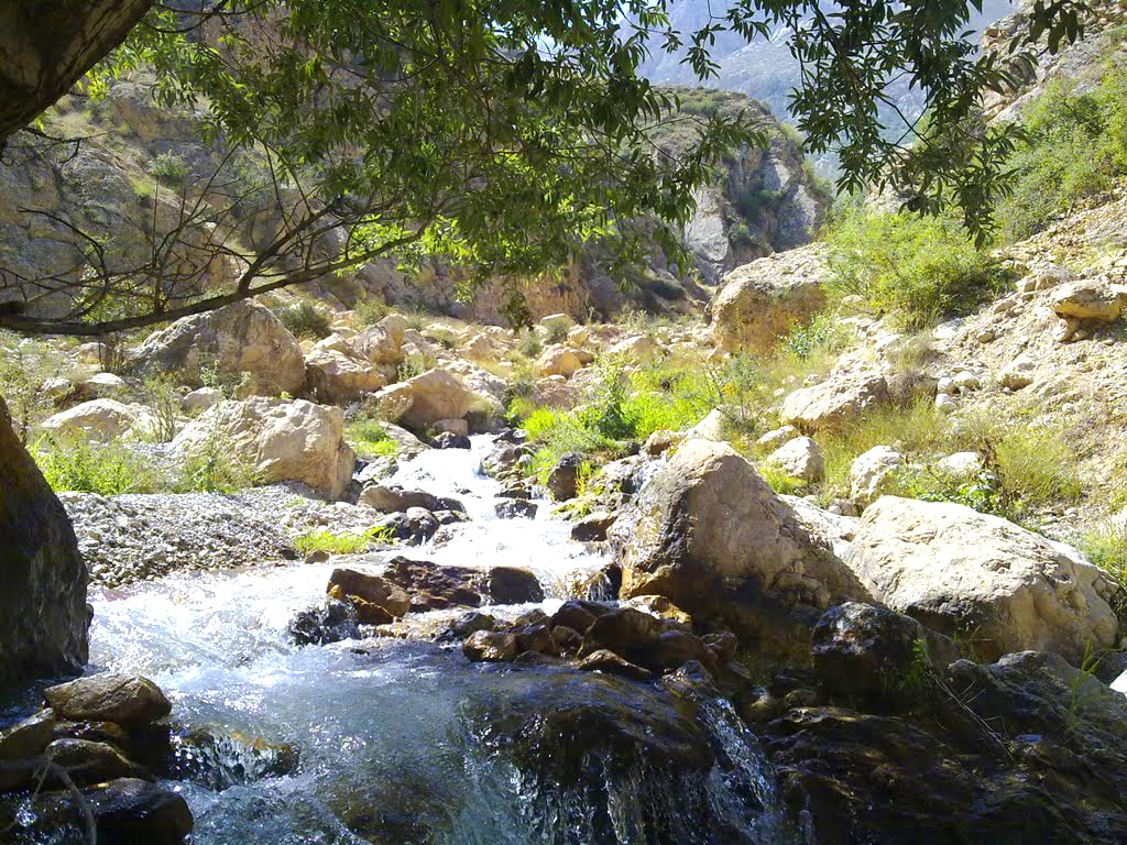 بهترین جاهای دیدنی آمل  از طبیعت تا بناهای تاریخی