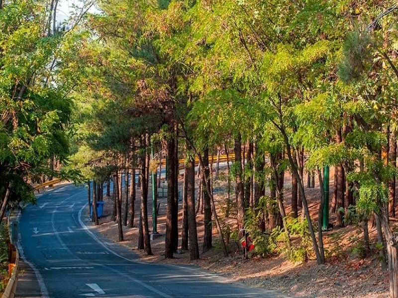 پارک چیتگر چه امکانات تفریحی دارد؟ + مسیر دسترسی