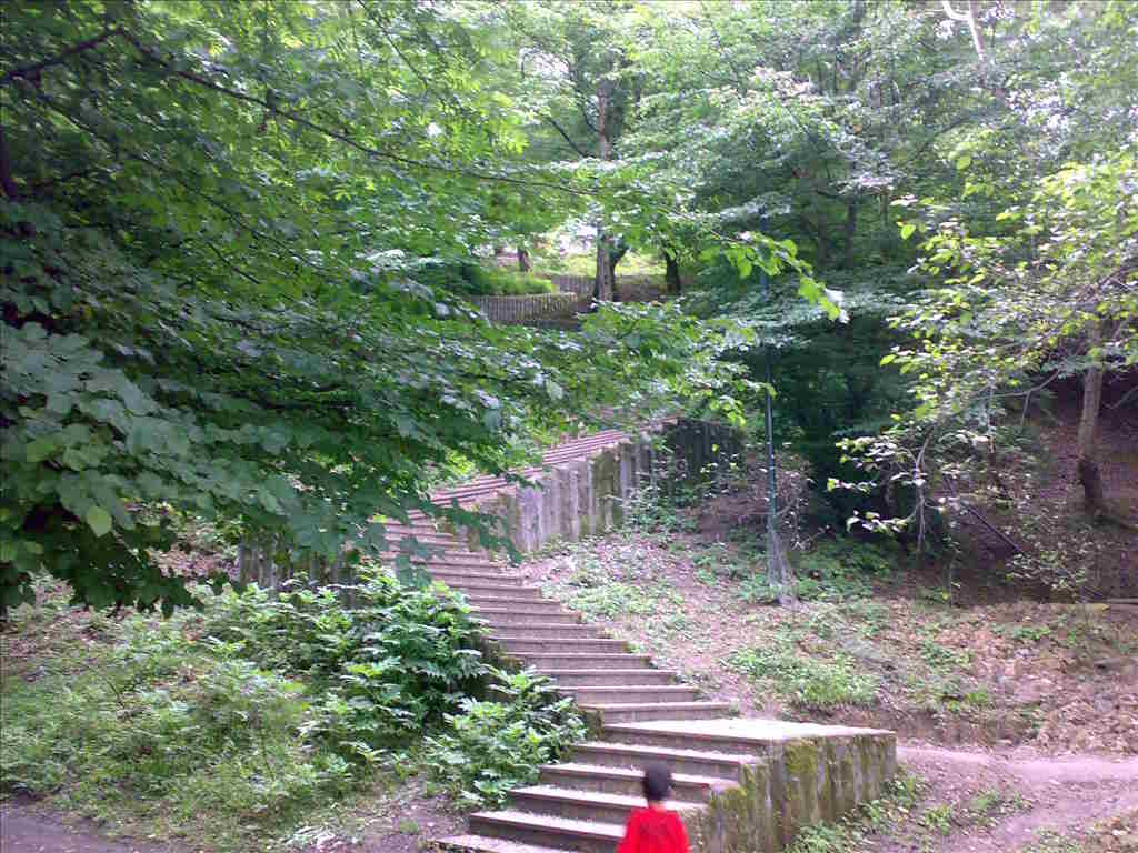 پارک جنگلی کشپل نور | تفریح در دل پارک کشپل