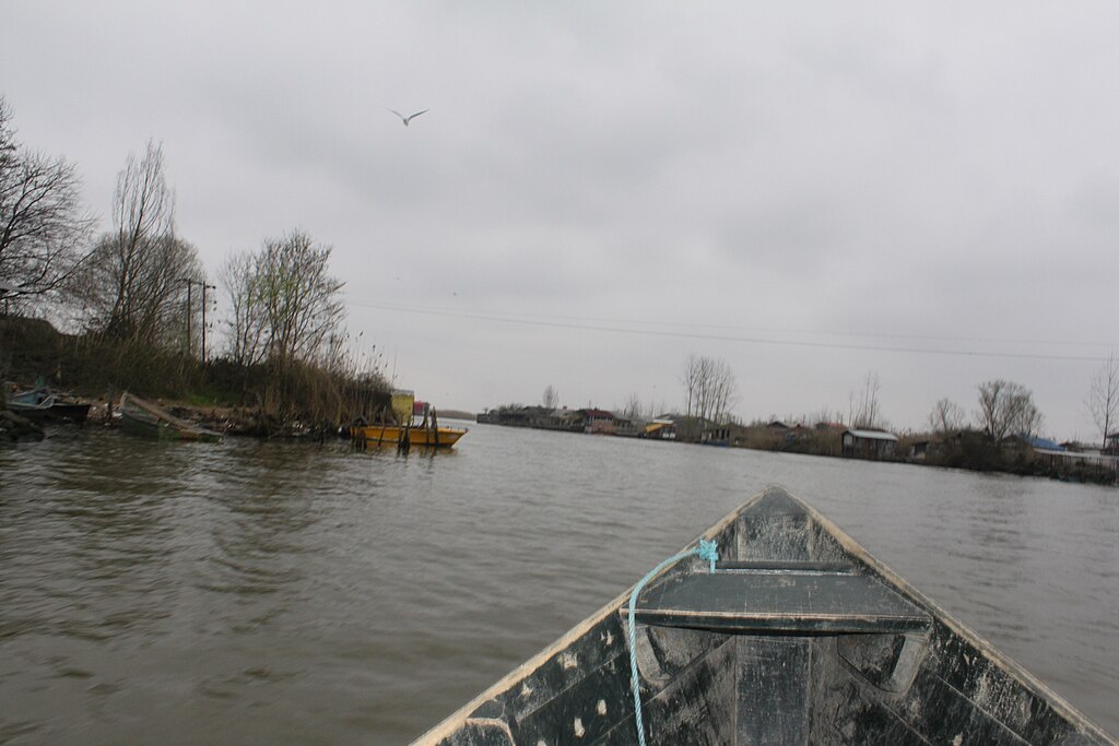 همه چیز درباره تالاب انزلی و زمان بازدید از گل های نیلوفر تالاب