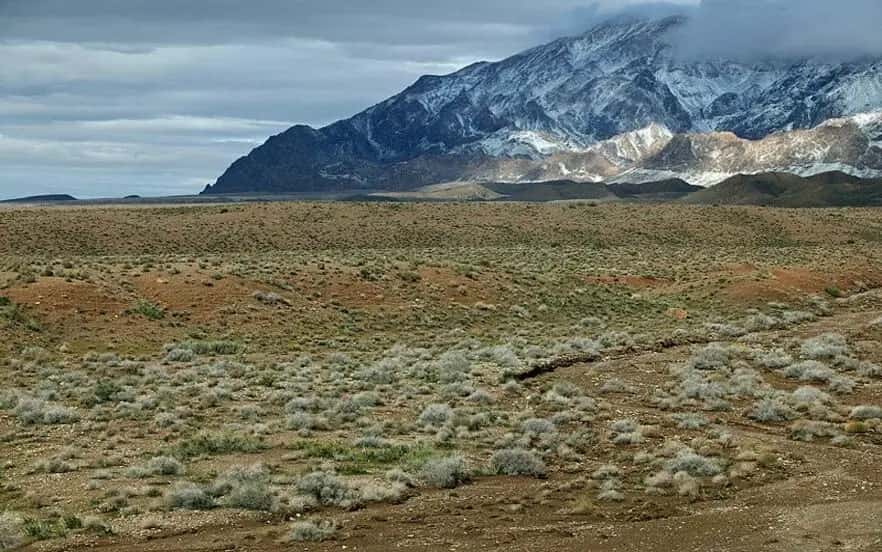 پارک ملی توران | از بزرگترین زیستگاه های کویری ایران