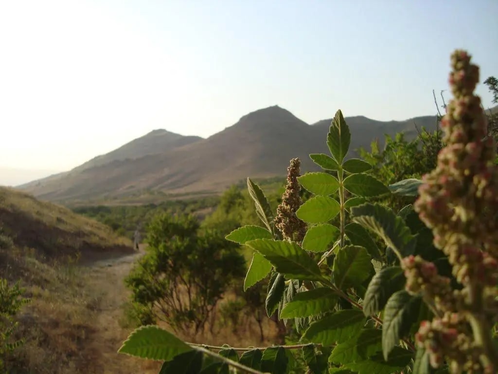 ۲۳ جای دیدنی تویسرکان | بهشت سرسبز غرب