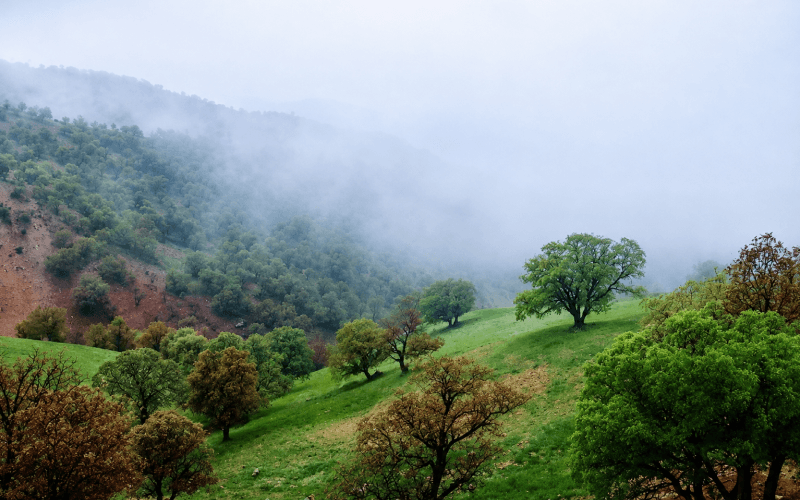 سی سخت کجاست؟ مسیر دسترسی، جاهای دیدنی و بهترین زمان سفر