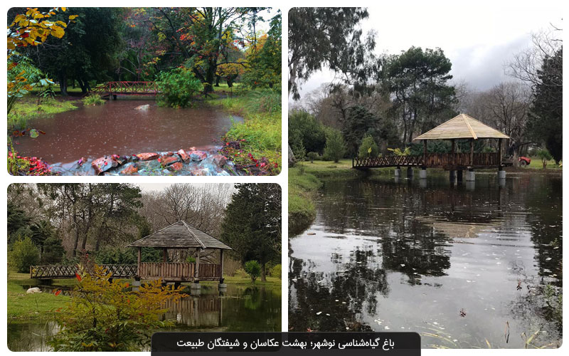 باغ گیاه‌ شناسی نوشهر