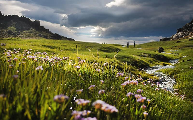 دشت میشان کجاست؟ | مسیر دسترسی و تفریحات میدان میشان