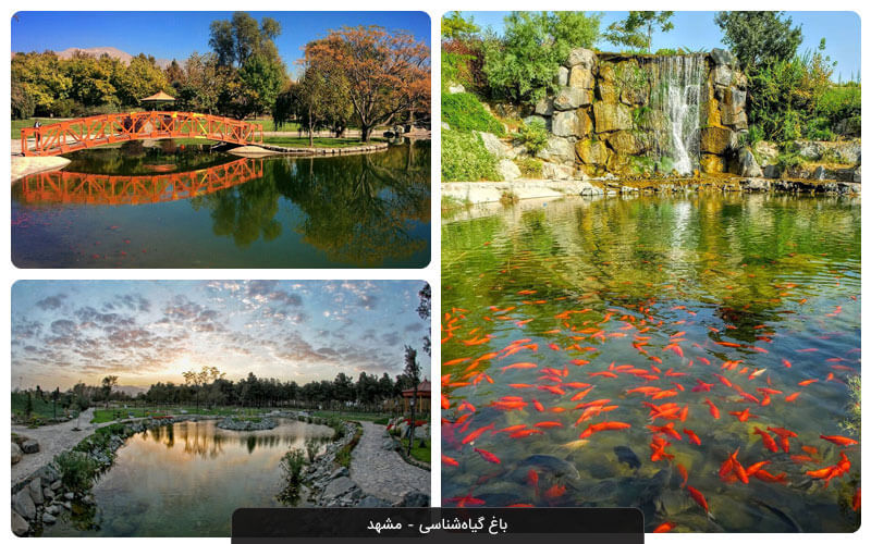 طبیعت گردی در مشهد؛ معرفی مکان های طبیعی مشهد