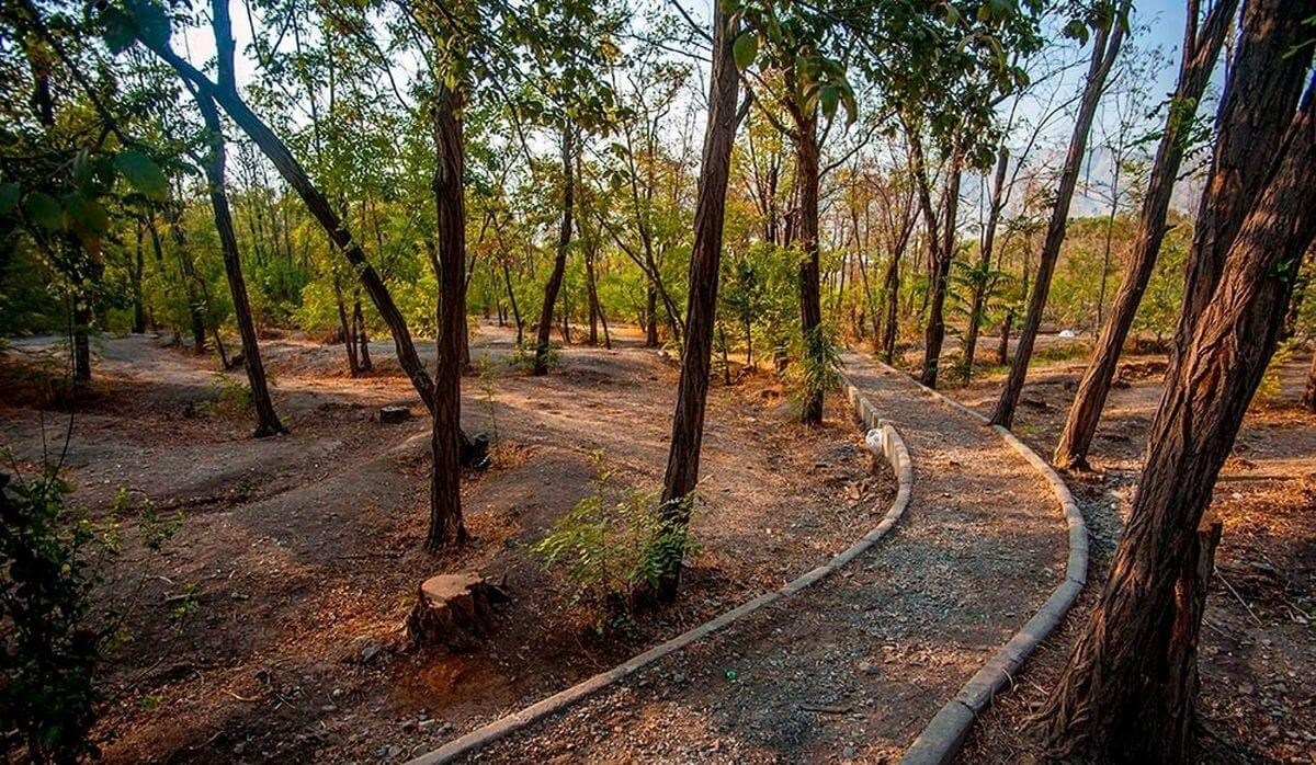 معرفی بهترین پارک های جنگلی تهران