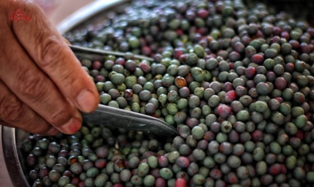 صنایع دستی و سوغاتی های ایلام