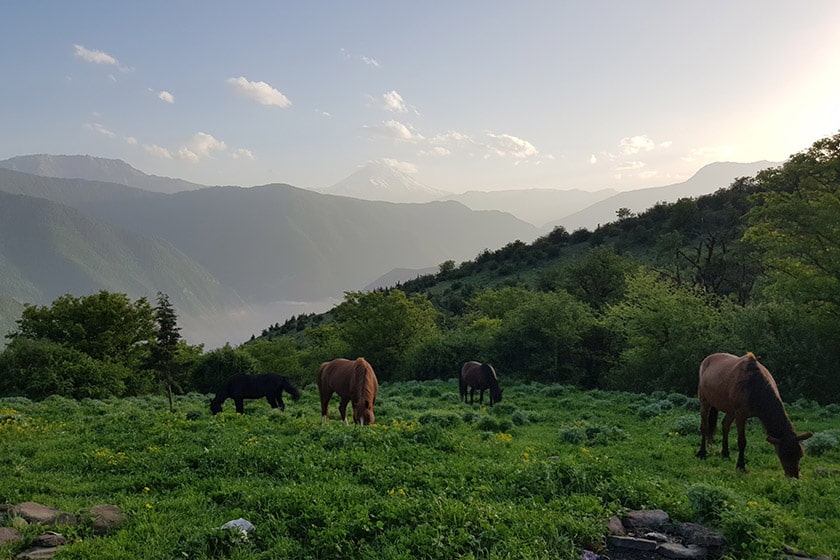 بهترین جاهای دیدنی آمل  از طبیعت تا بناهای تاریخی