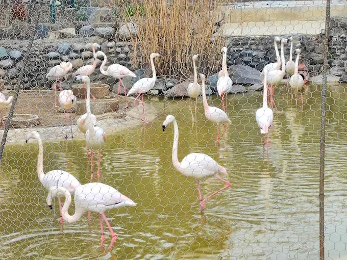 مکان های تفریحی تهران برای خانواده