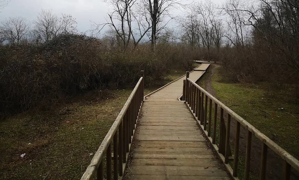 تالاب جوکندان کجاست؟