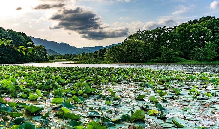 جاهای دیدنی لاهیجان | ۱۸ دیدنی برای جوانان و خانواده ها