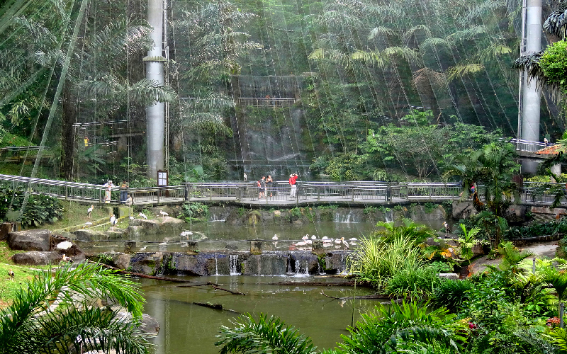 پارک پرندگان تامان برونگ کوالالامپور