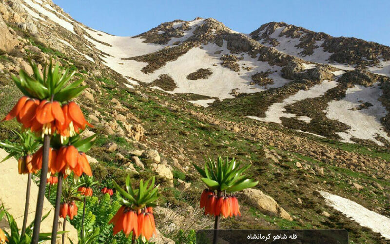 قله شاهو کرمانشاه