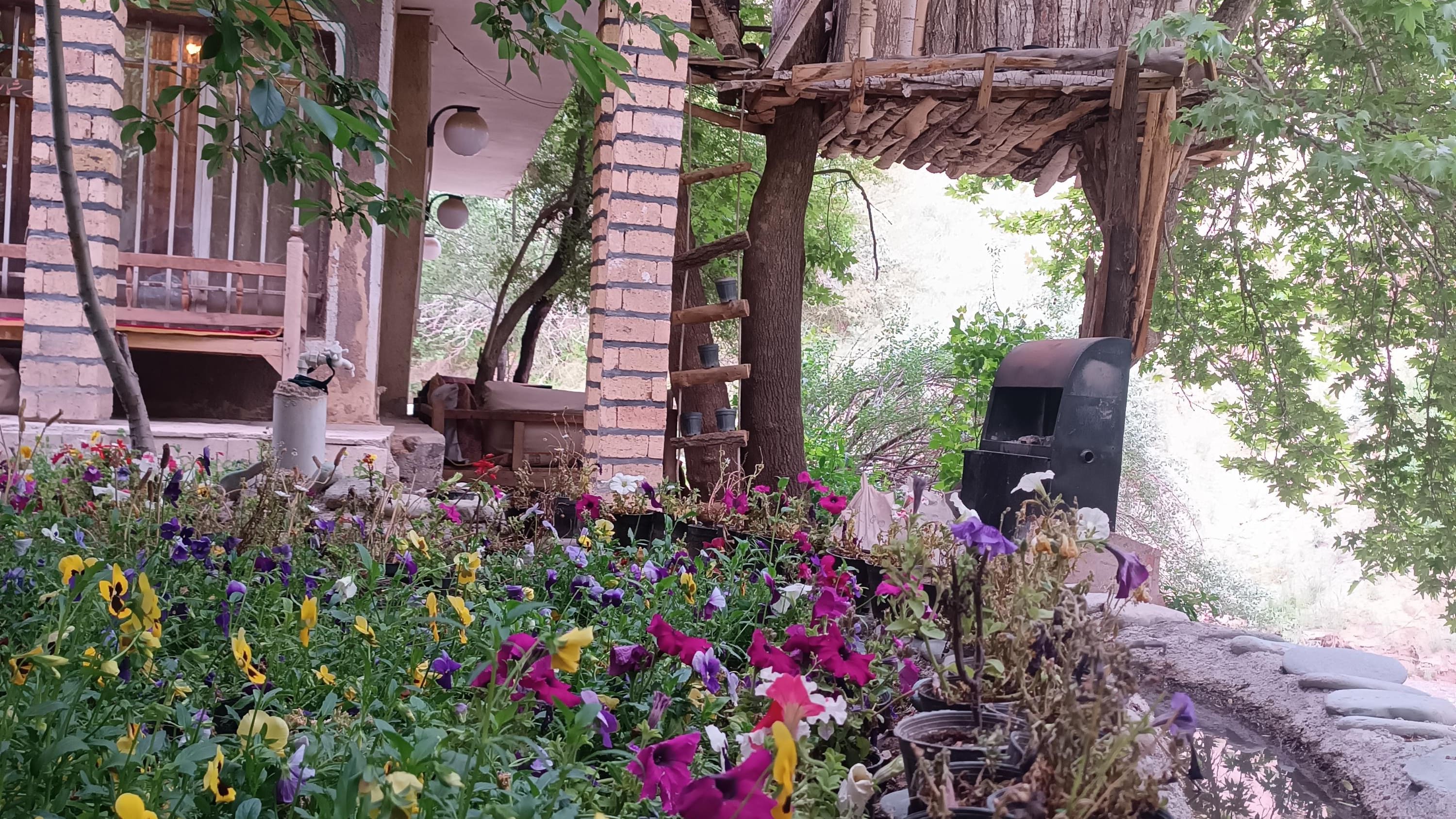 دشت لاله کندر کجاست؟ | شرکت در جشنواره لاله کرج