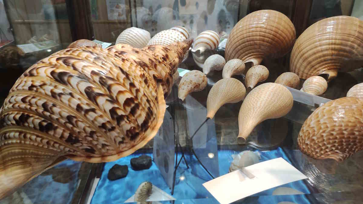 با بهترین موزه های اصفهان آشنا شوید