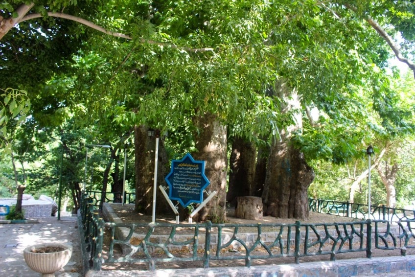 ۲۳ جای دیدنی تویسرکان | بهشت سرسبز غرب