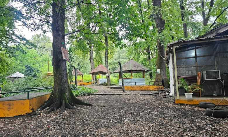 جاهای دیدنی لاهیجان | ۱۸ دیدنی برای جوانان و خانواده ها