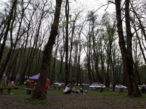 پارک جنگلی فین چالوس کجاست؟