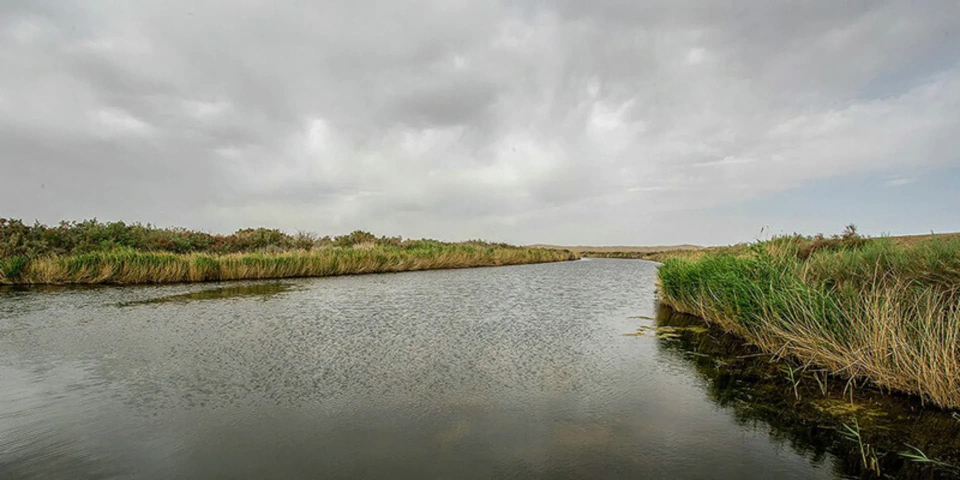 تالاب گاوخونی کجاست؟