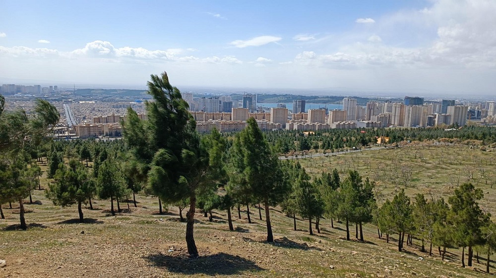 بوستان جنگلی لتمال کن یا لتمان کن کجاست؟ | آدرس و مسیر دسترسی