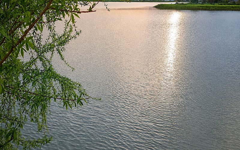 سرخرود مازندران کجاست؟ مسیر، دیدنی‌ها و بهترین زمان سفر
