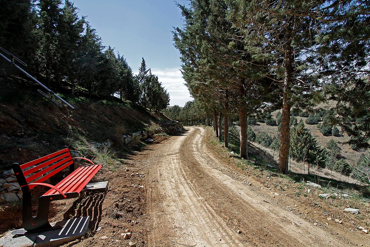 پارک جنگلی غزال یا بوستان جنگلی تلو کجاست؟