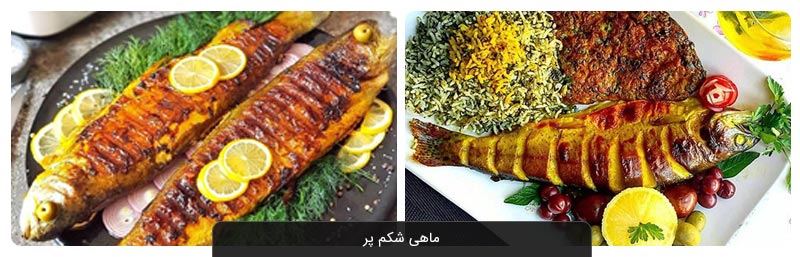 معرفی بهترین غذاهای محلی بوشهر