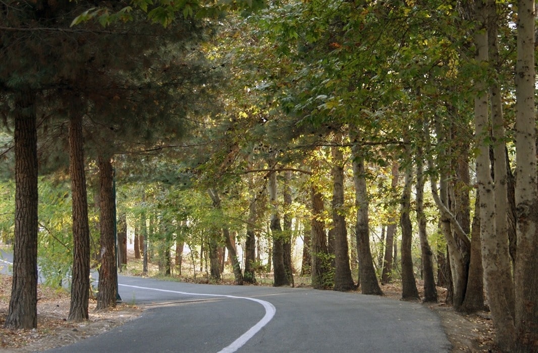 معرفی بهترین پارک های جنگلی تهران