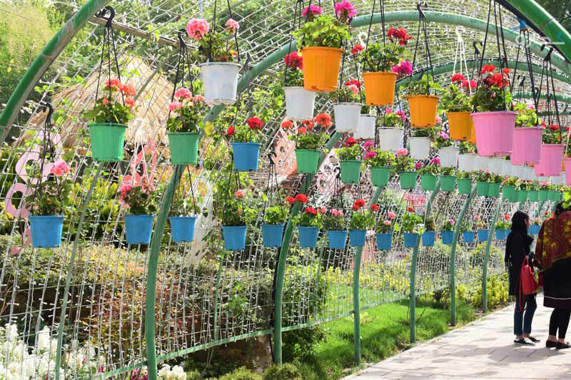 بهترین پارک های کرج را می شناسید؟ | معرفی ۲۰ پارک خوب کرج