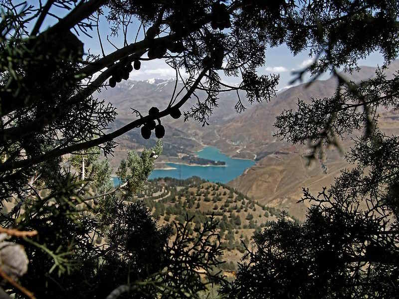 پارک جنگلی غزال یا بوستان جنگلی تلو کجاست؟