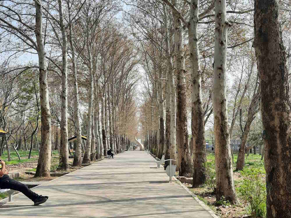 بهترین پارک های کرج را می شناسید؟ | معرفی ۲۰ پارک خوب کرج