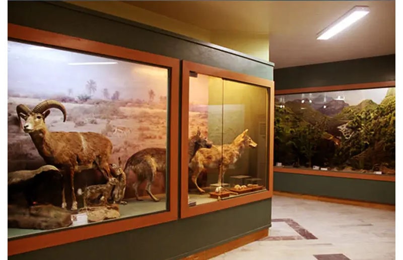 آبادان گردی با معرفی ۱۵ جای دیدنی آبادان