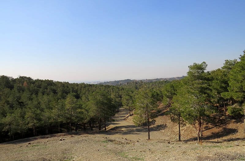 پارک جنگلی خرگوش دره کجاست؟ | امکانات تفریحی و مسیر دسترسی