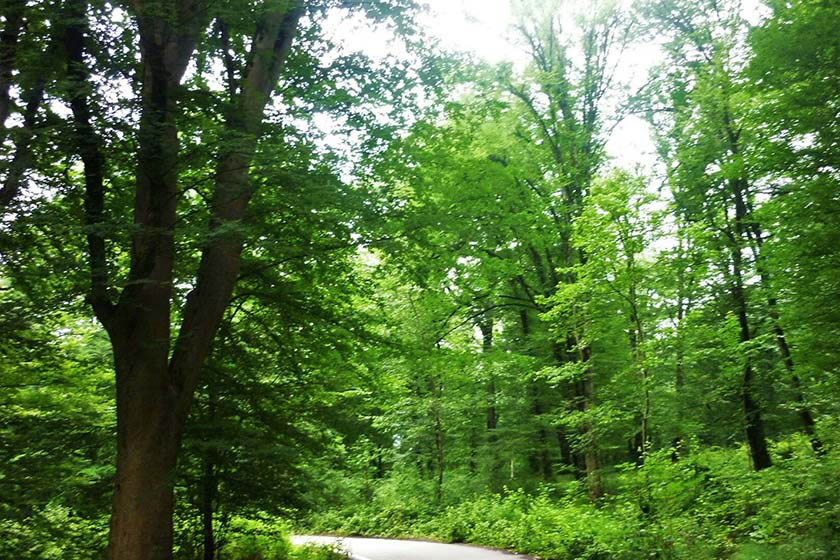 بهترین جاهای دیدنی آمل  از طبیعت تا بناهای تاریخی