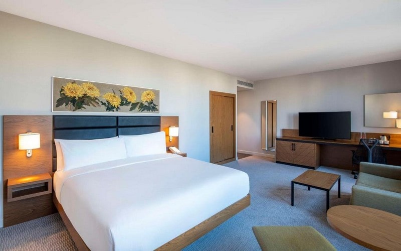 هتل Hilton Garden Inn Tbilisi Chavchavadze