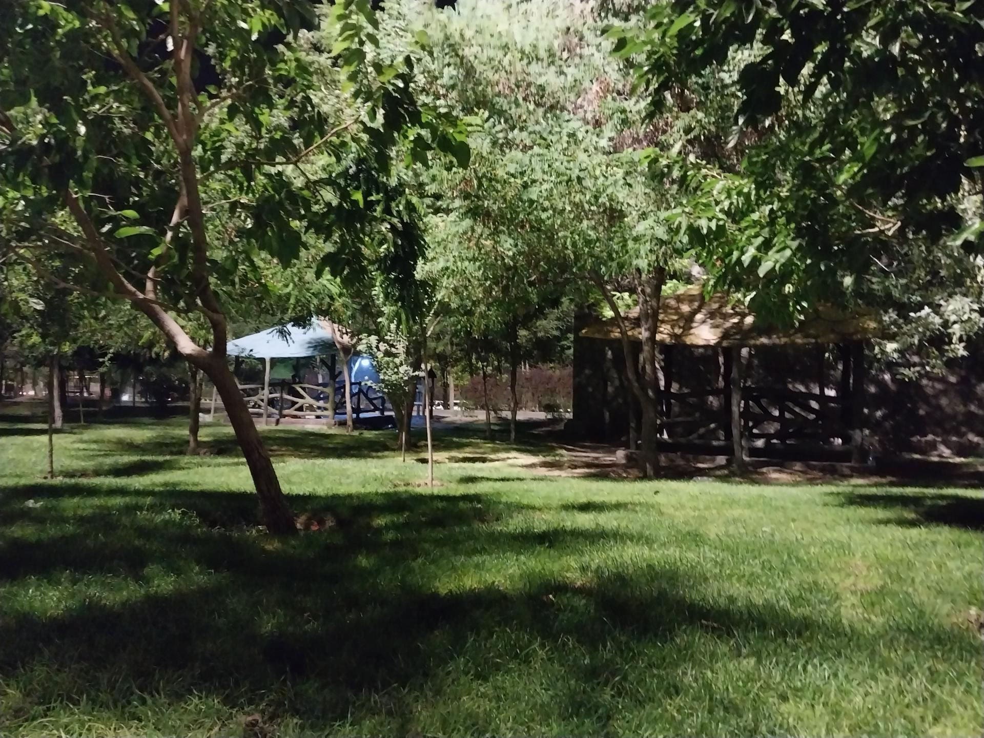 معرفی بهترین پارک های تبریز | پارک های تاریخی تا بوستان های جنگلی تبریز