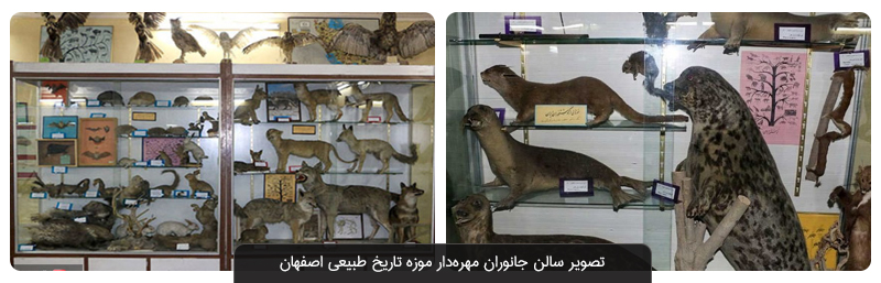 از موزه تاریخ طبیعی اصفهان چه می‌دانید؟